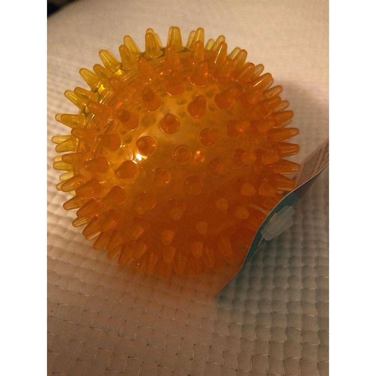 Spiky Ball Dog Toy Y487