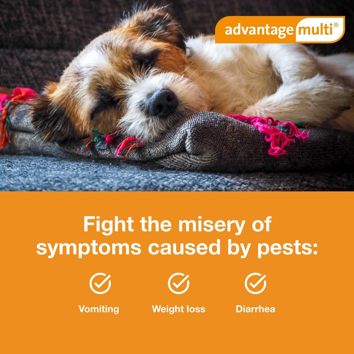 Advantage Multi for Dogs P753