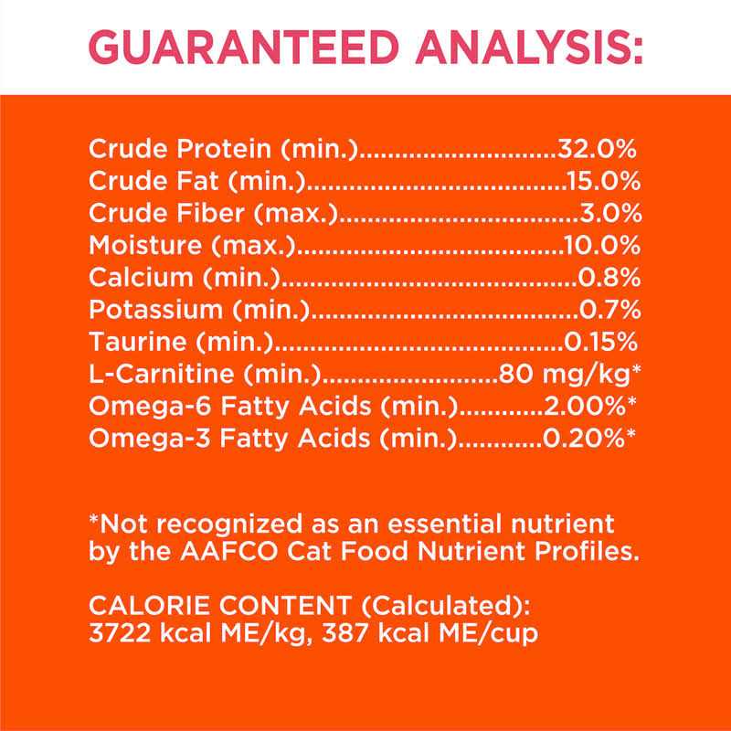 Salmon Adult Dry Cat Food F4094