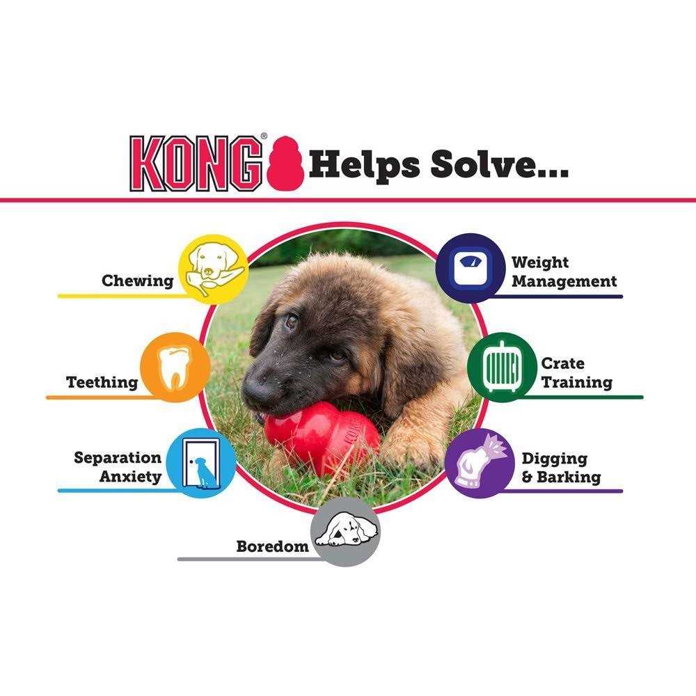 KONG Dog Toy D1684