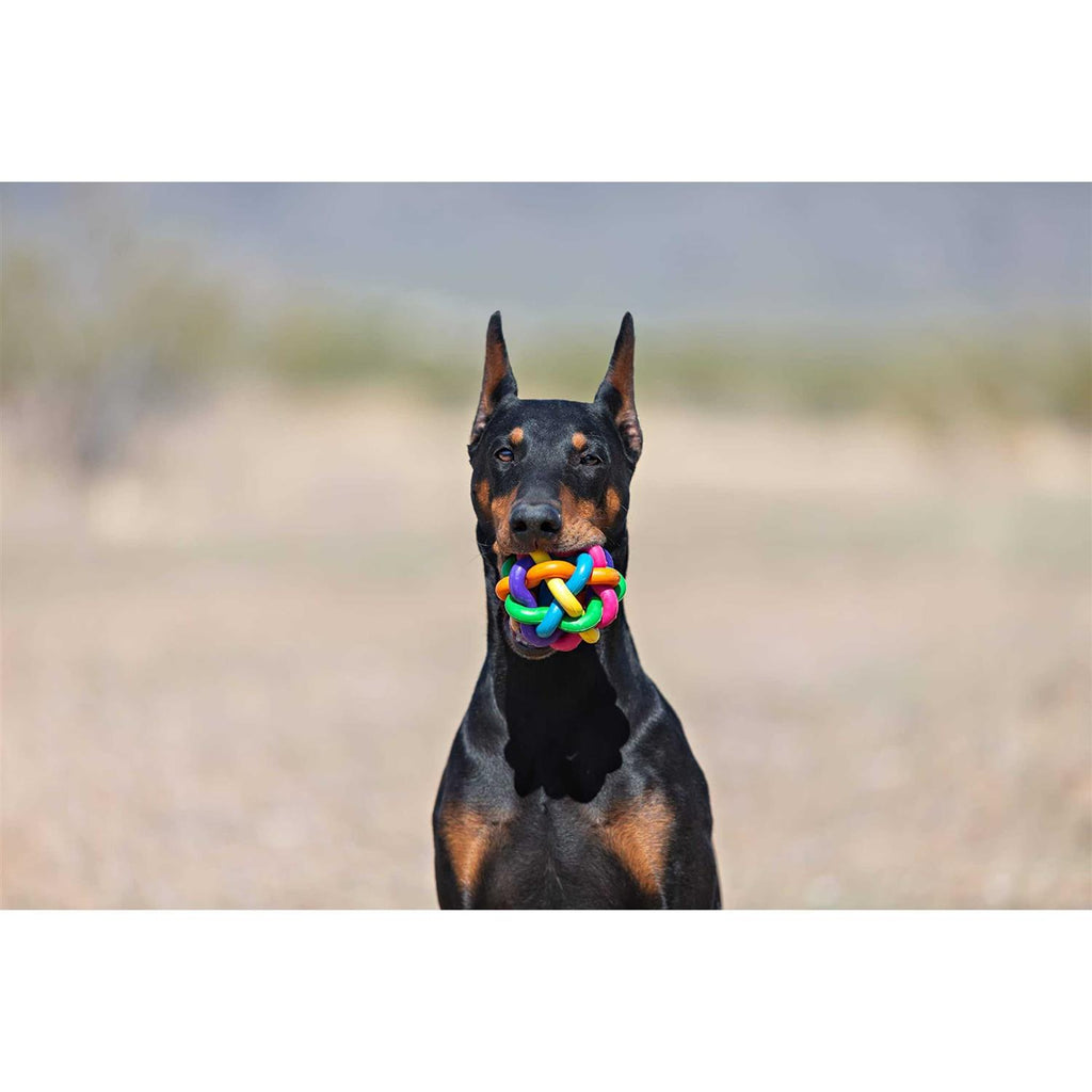 Dog Toy U3840