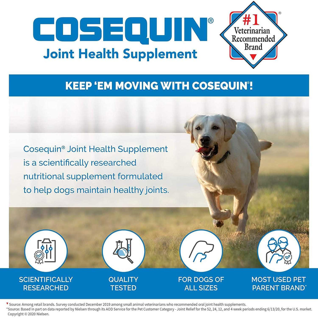 Chewable Tablets for Dogs J135972