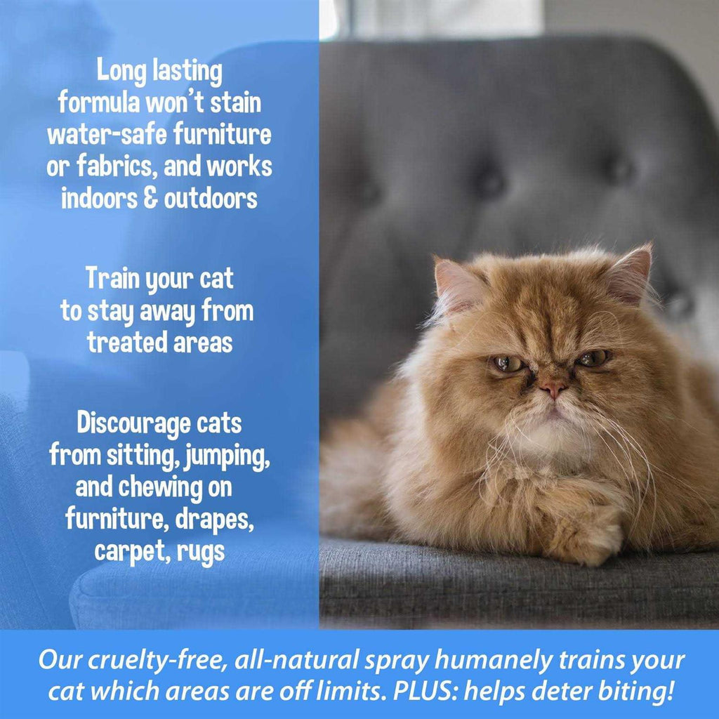 Cat Training Aid Spray R982526