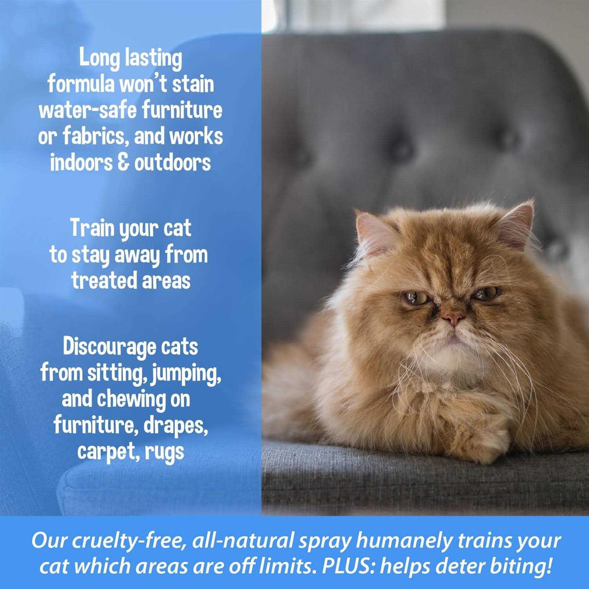Cat Training Aid Spray R982526