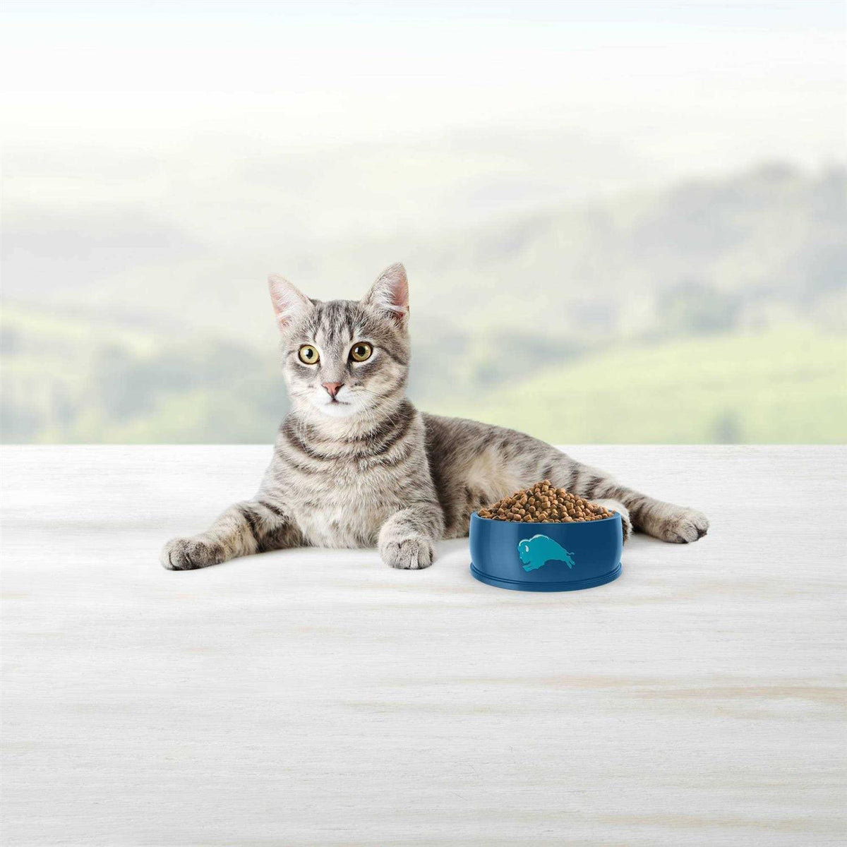 Blue Weight Control Adult Cat Dry Food N388073