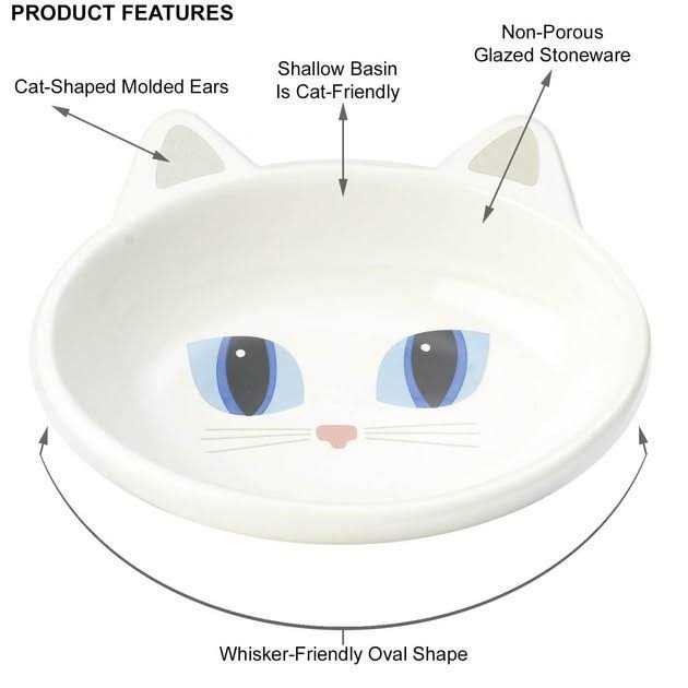 Cat Saucer Z8401