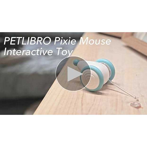 Interactive Cat Toys with LED Lights N714004