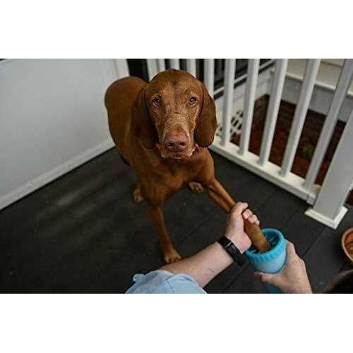 Portable Dog Paw Cleaner Z10117