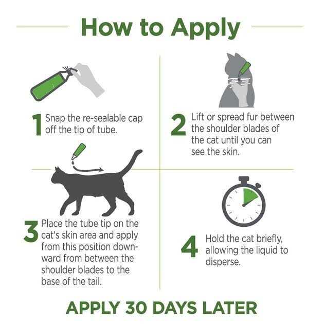 Flea & Tick Topicals for Cats W173051