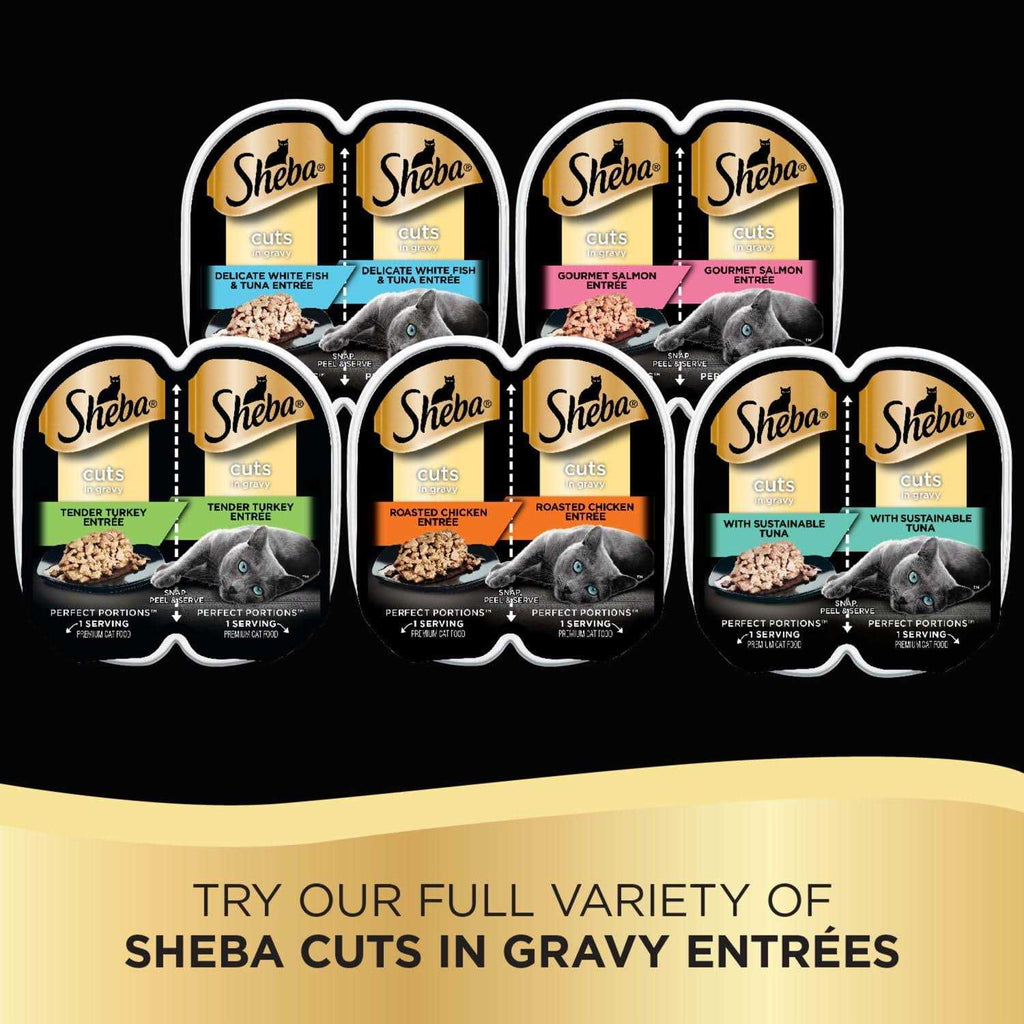 Cuts in Gravy I302