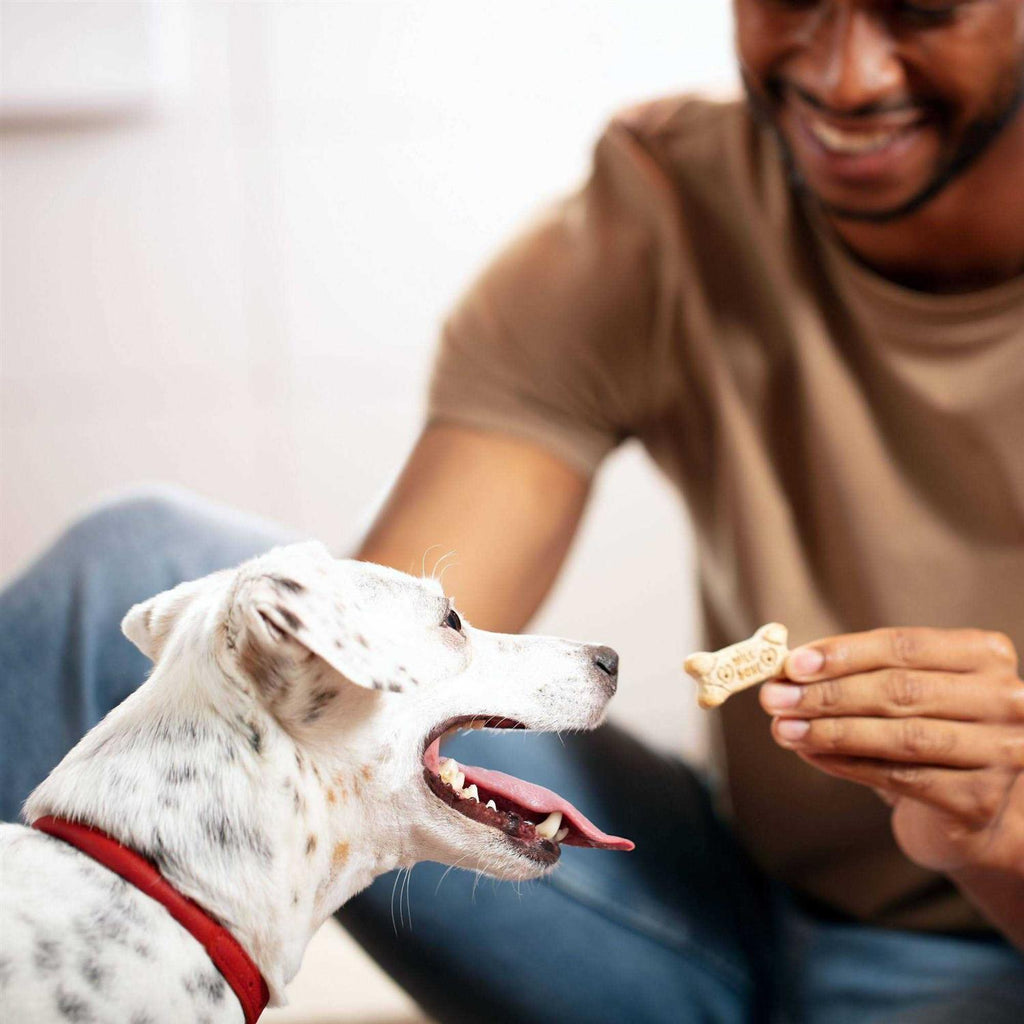 Mini Dog Biscuits X522552