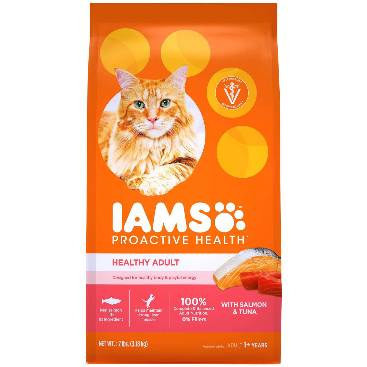 Salmon Adult Dry Cat Food F4094