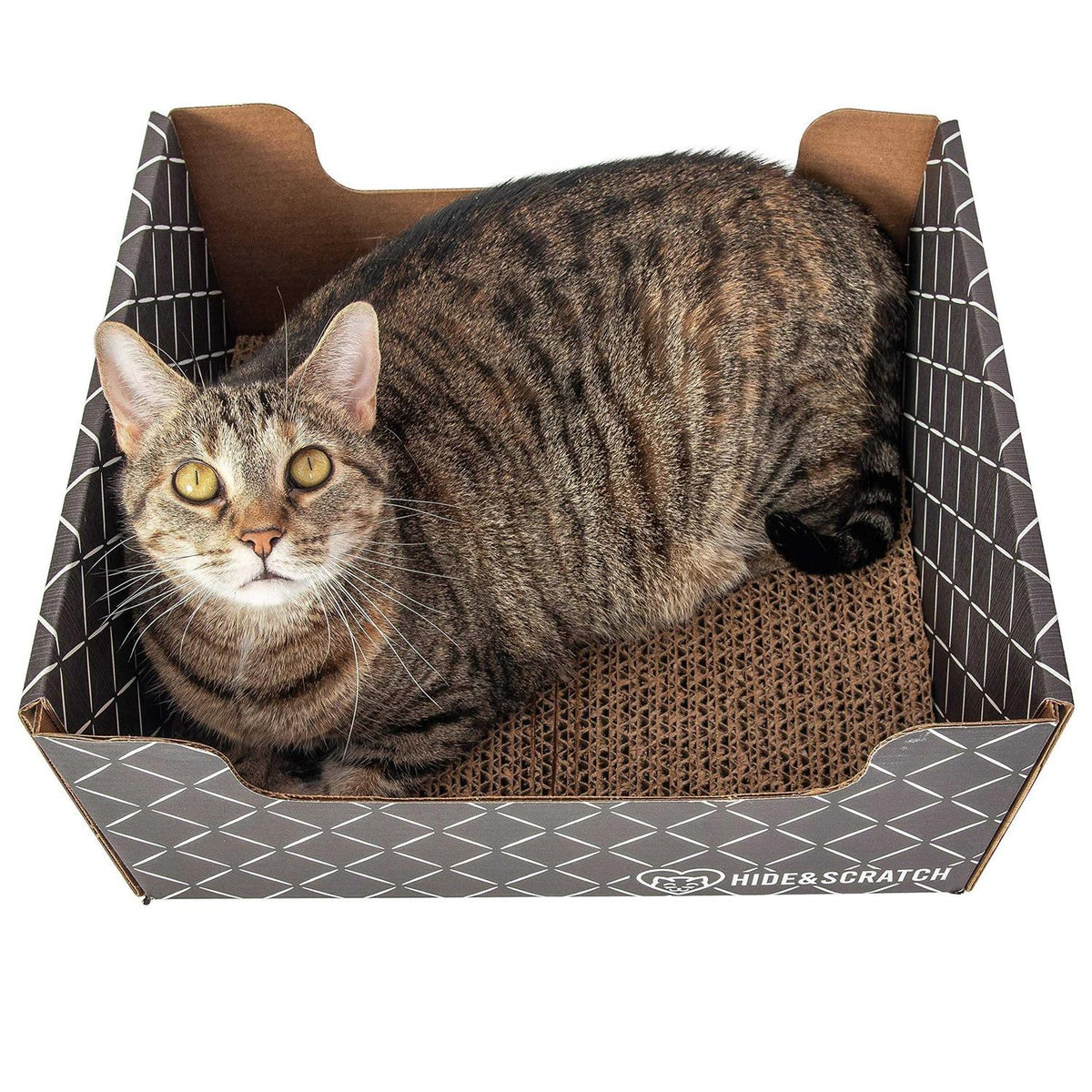 Extra-Large Heavy Duty Cardboard Cat Scratcher and Lounger Box Z75956