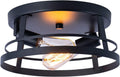 12 inch 2-Light Flush Mount Ceiling Light Fixture L990