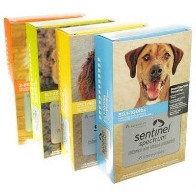 Spectrum for Dogs X831