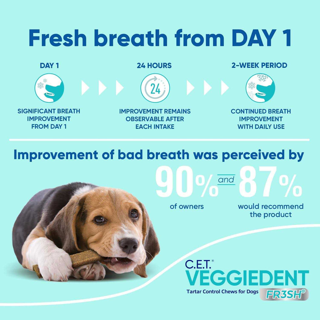 VeggieDent Tartar Control Chews for Dogs G7619