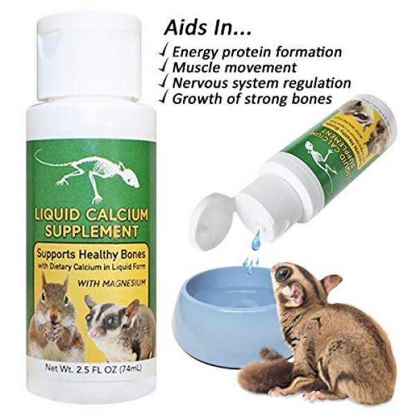 Liquid Calcium Supplement 2 oz H636