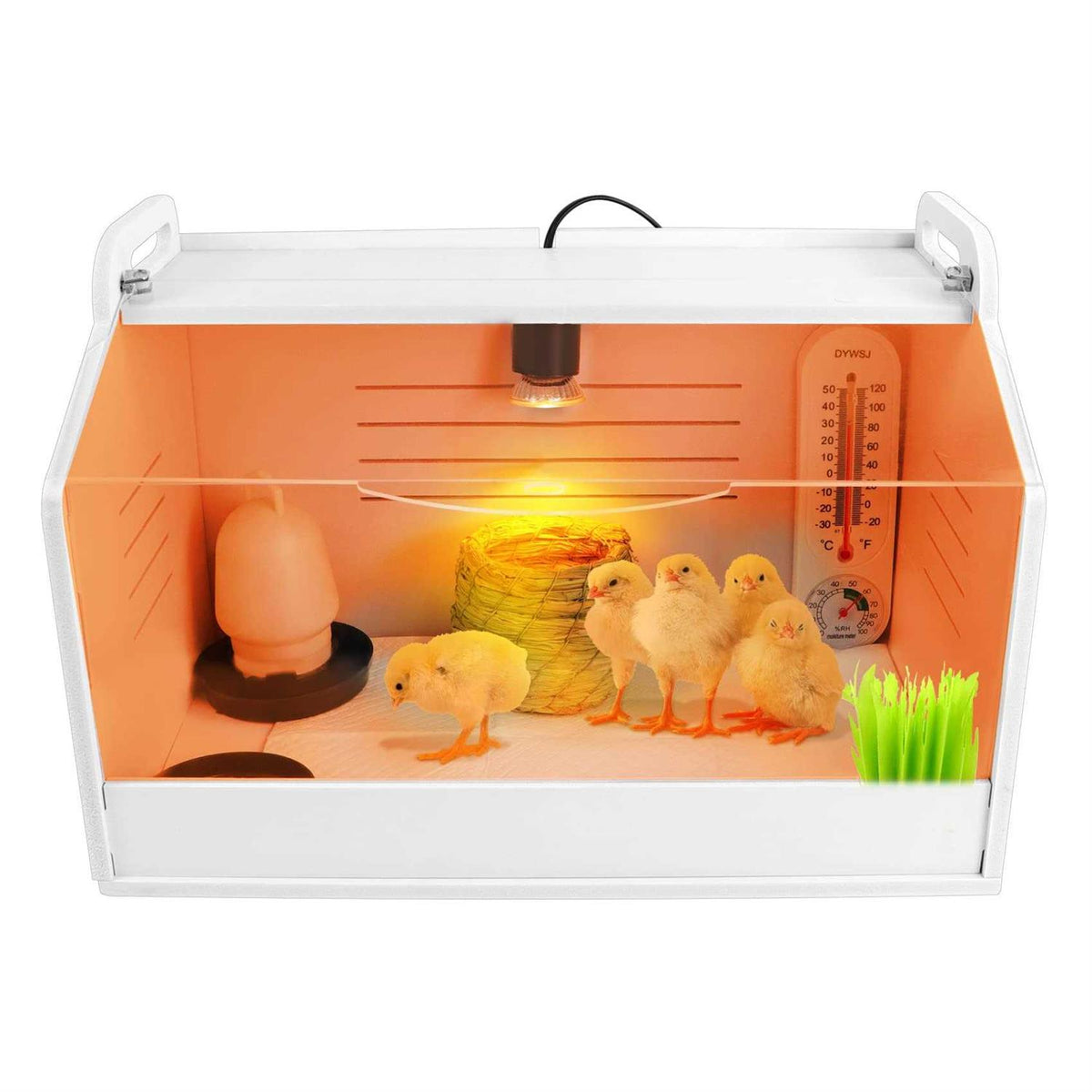 Chick Brooder Box with Heating Lamp O1735