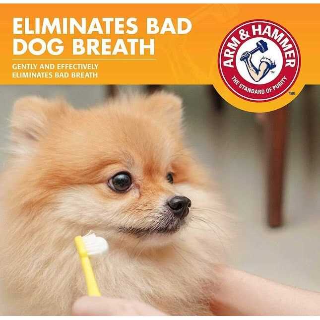 Enzymatic Toothpaste for Dogs K1328