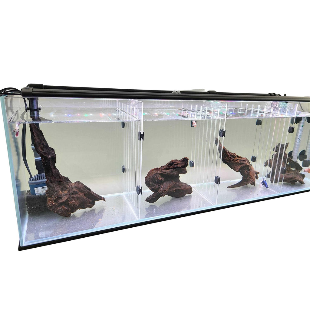 Aquarium F2644