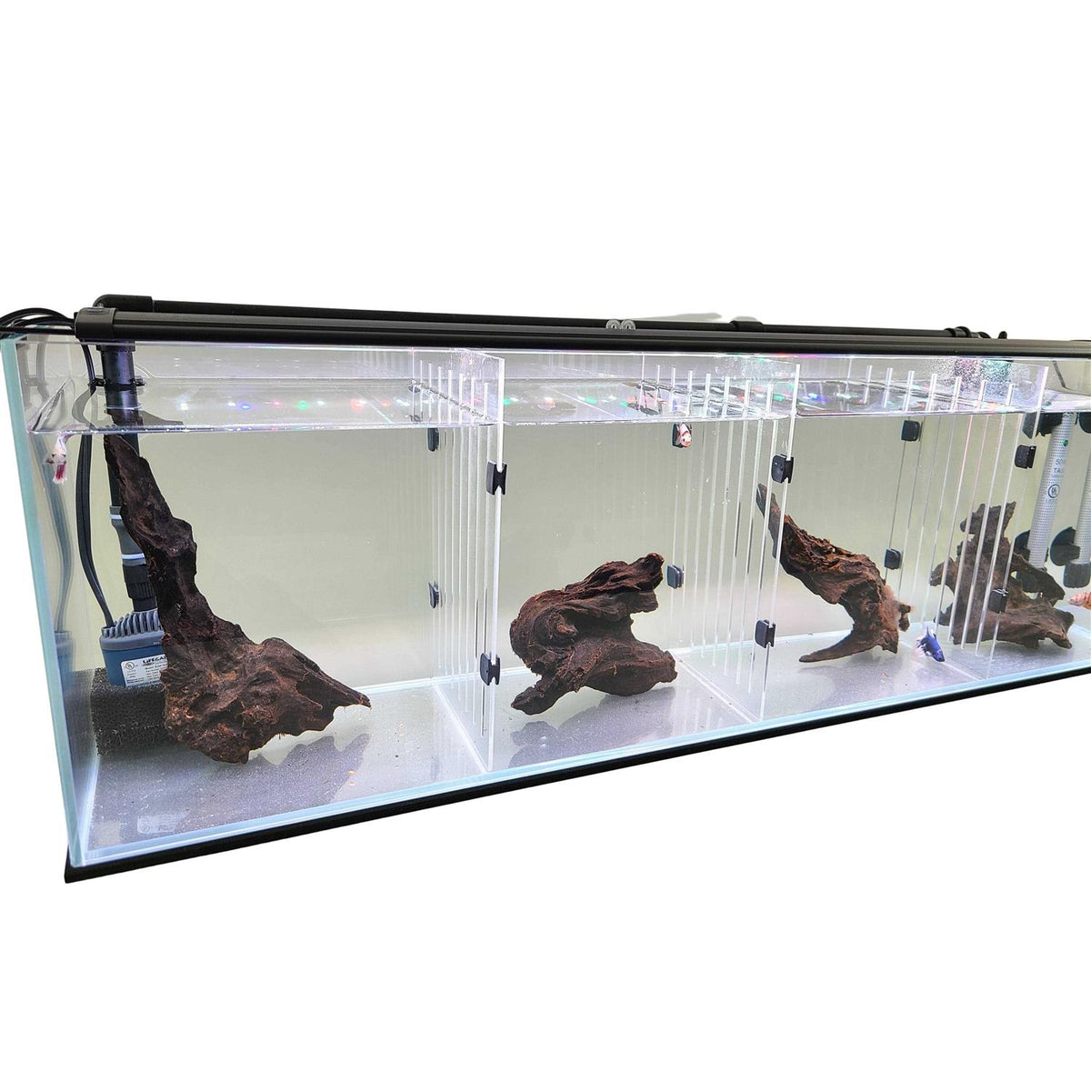 Aquarium F2644