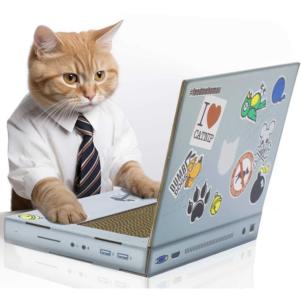 Cat Scratch Laptop I752542