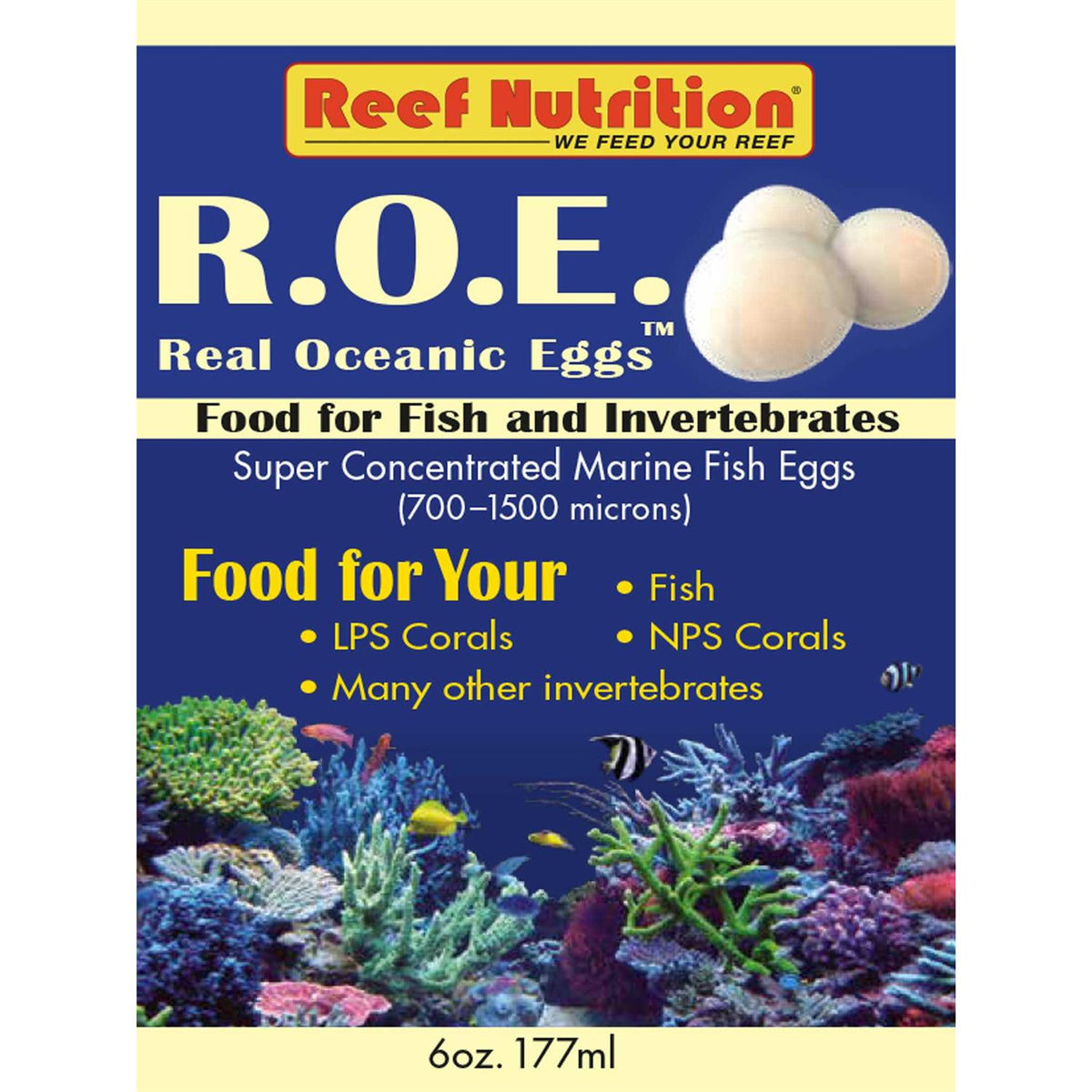 Real Oceanic Eggs S250