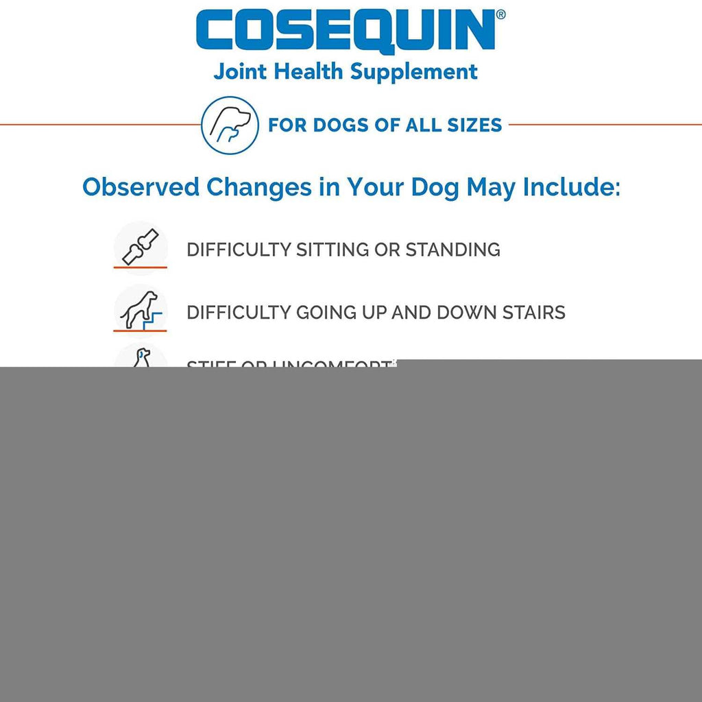 Chewable Tablets for Dogs J135972