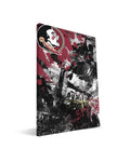 Florida State Spirit 24x36 Canvas I271677