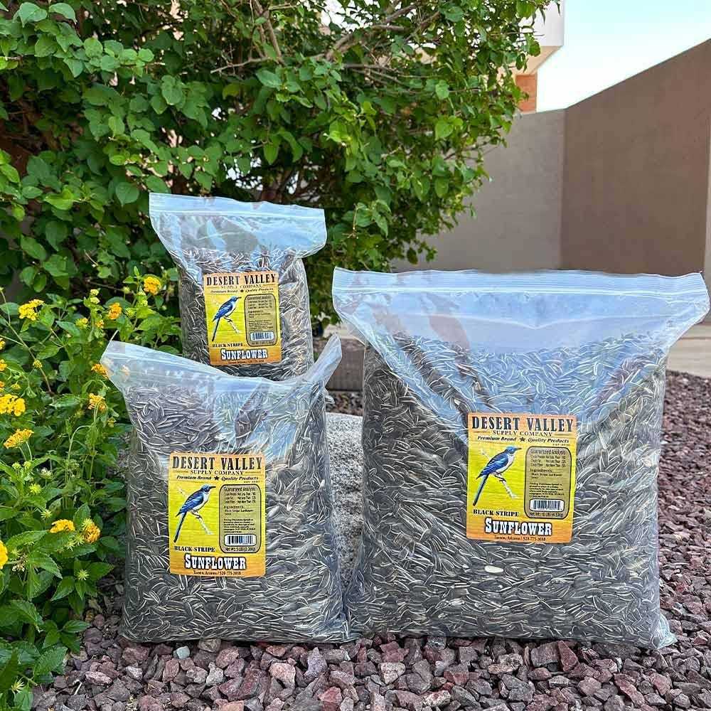 Striped Sunflower Seeds Y5808