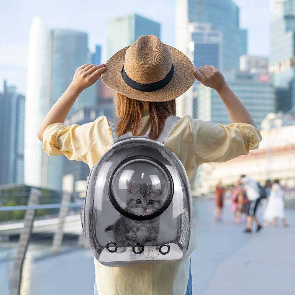 Grey Pet Travel Carrier J6741