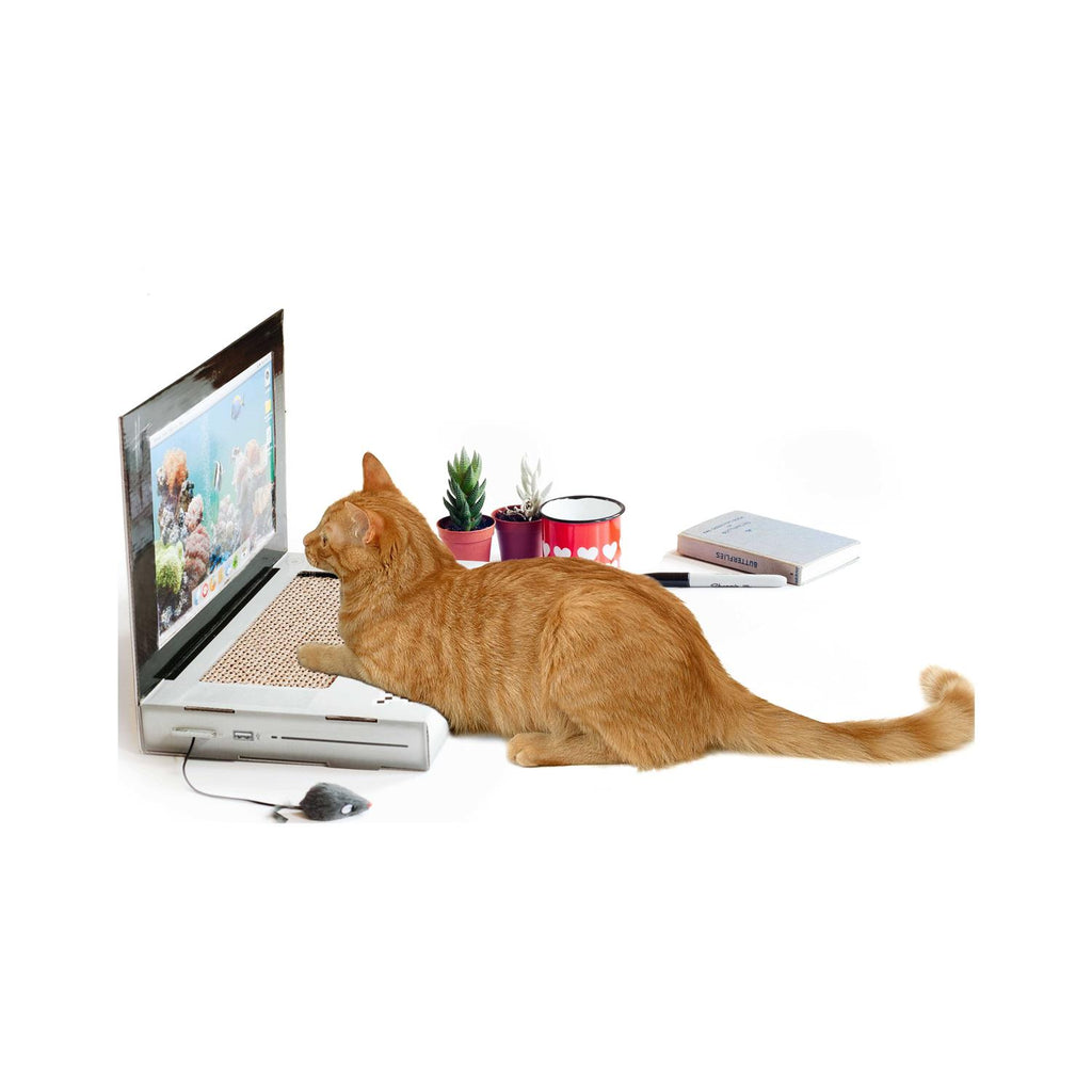 Cat Scratch Laptop I752542