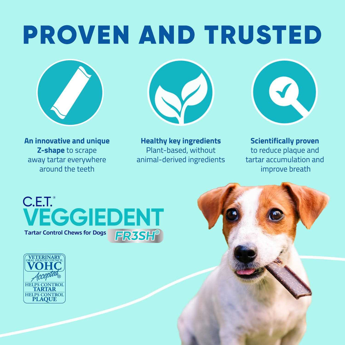 VeggieDent Tartar Control Chews for Dogs G7619