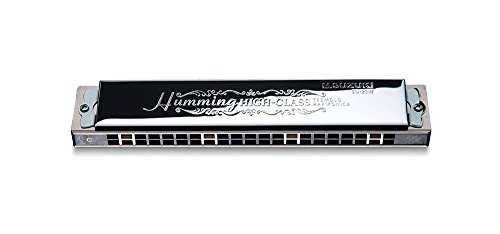 21 Hole Double Sound Harmonica B275