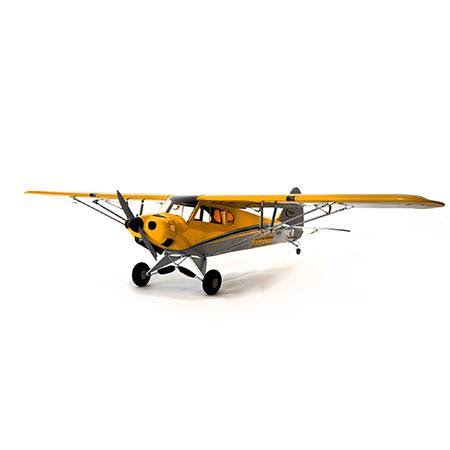 Left Wing B29651