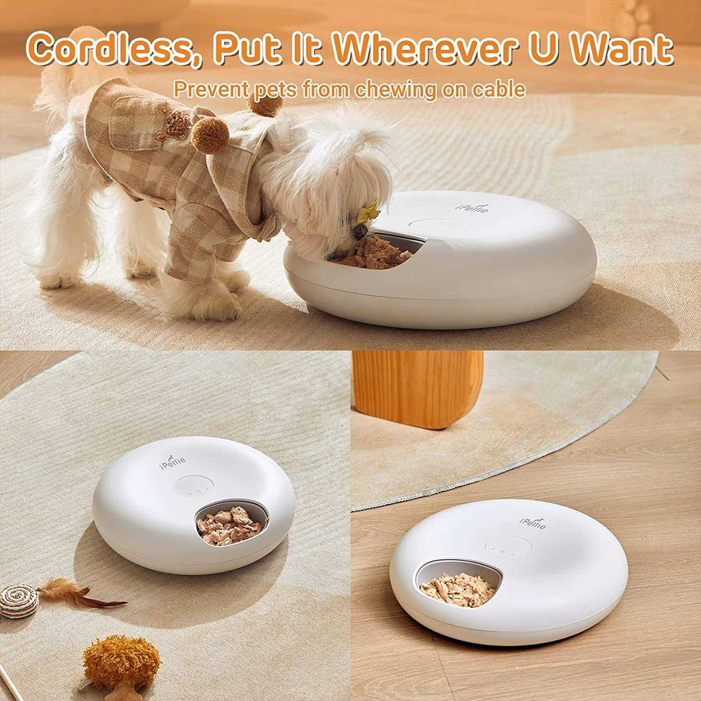 Automatic Pet Feeder P226