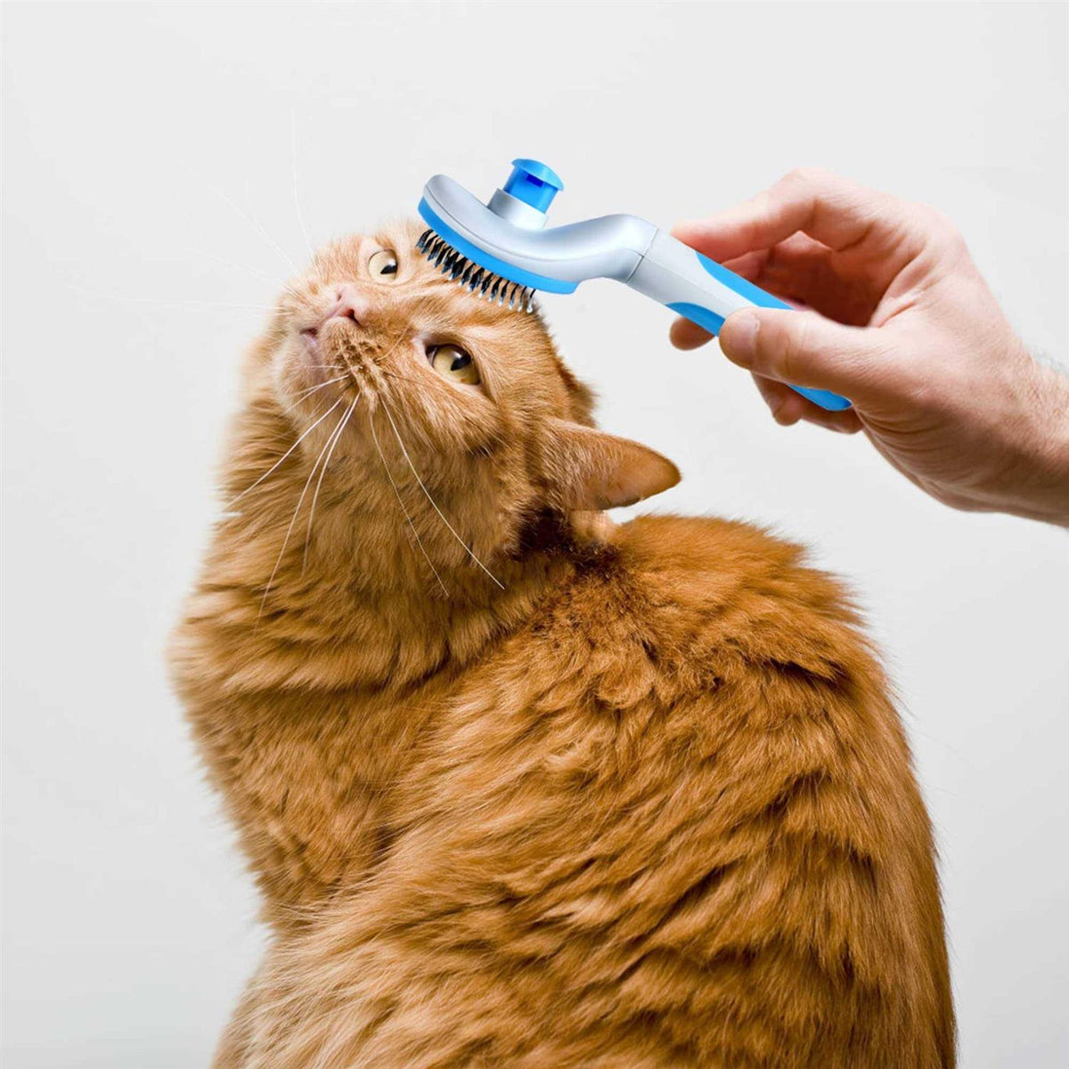 Self Cleaning Cat Grooming Brush S282436