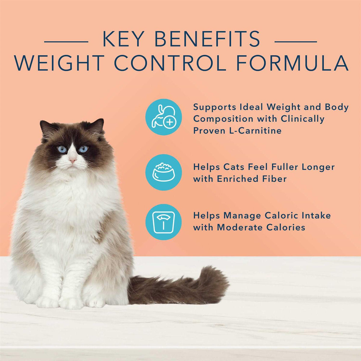 Adult Dry Cat Food W5336