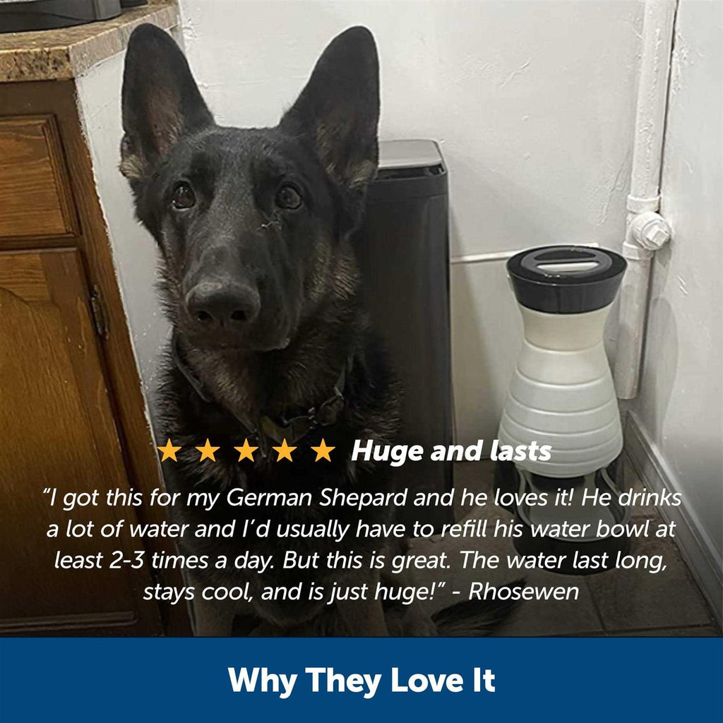 Healthy Pet Water Station R1656