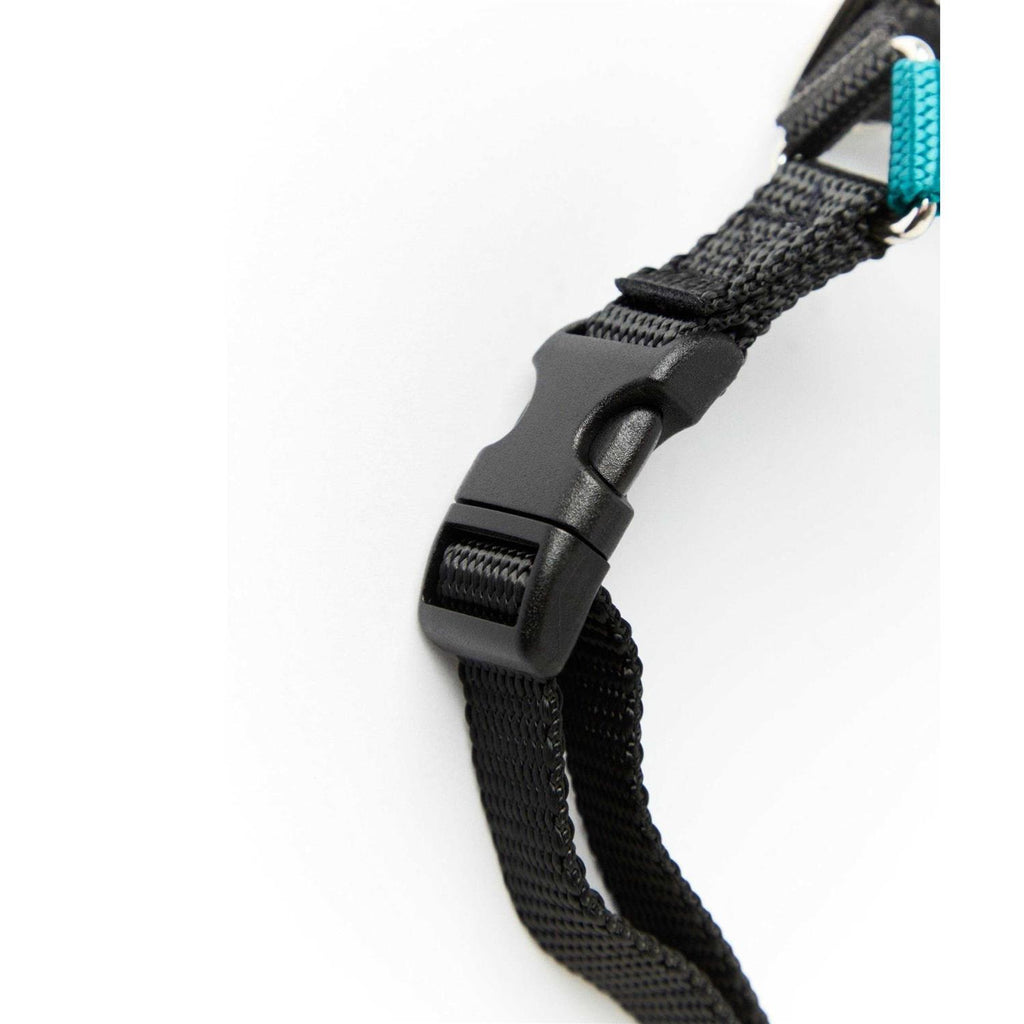 Dog Harness Q668