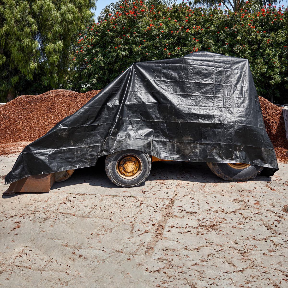 16 ft. x 20 ft. Weather-Resistant Tarp J5486