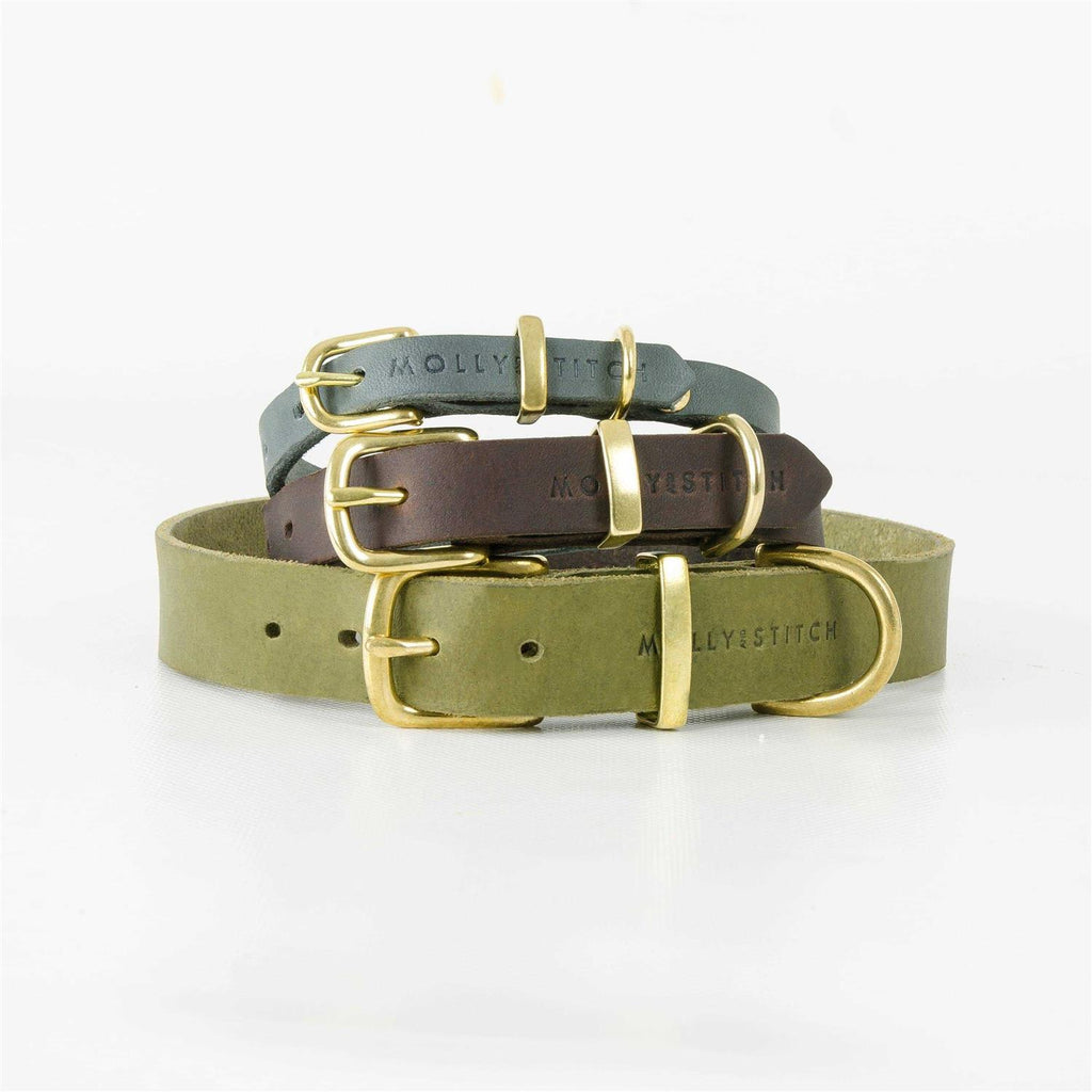 Leather Dog Collar W3886
