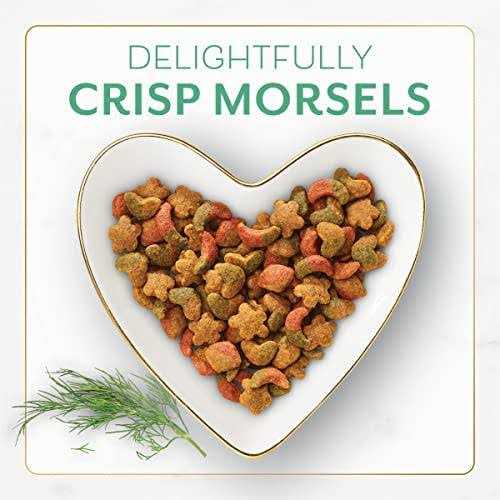 Ocean Fish and Salmon Dry Cat Food X38004