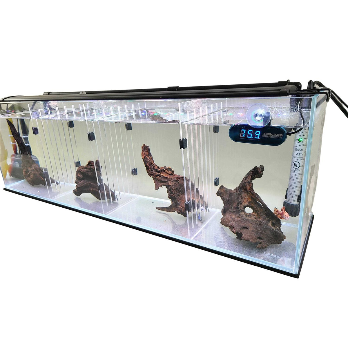 Aquarium F2644