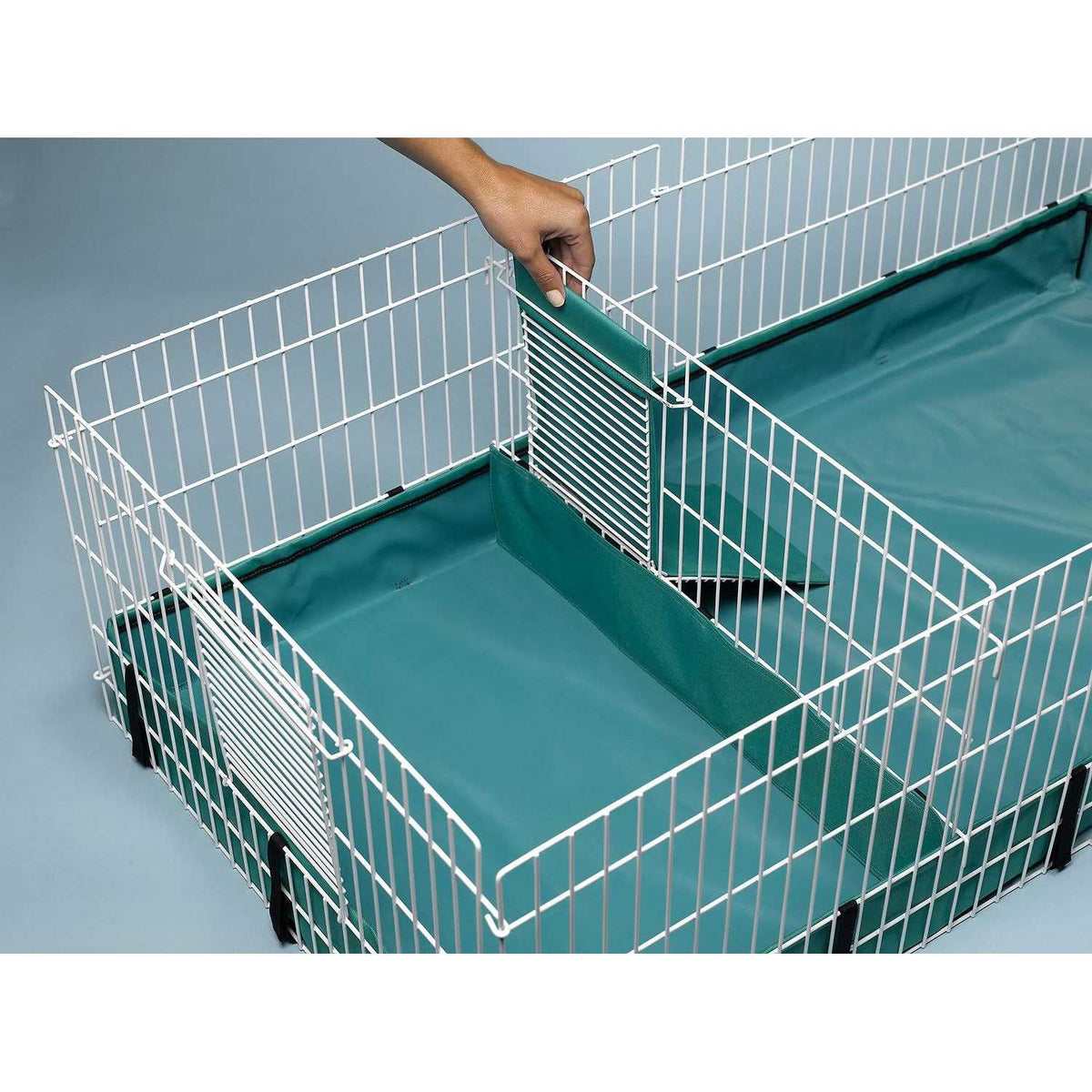 Guinea Pig Habitat J709