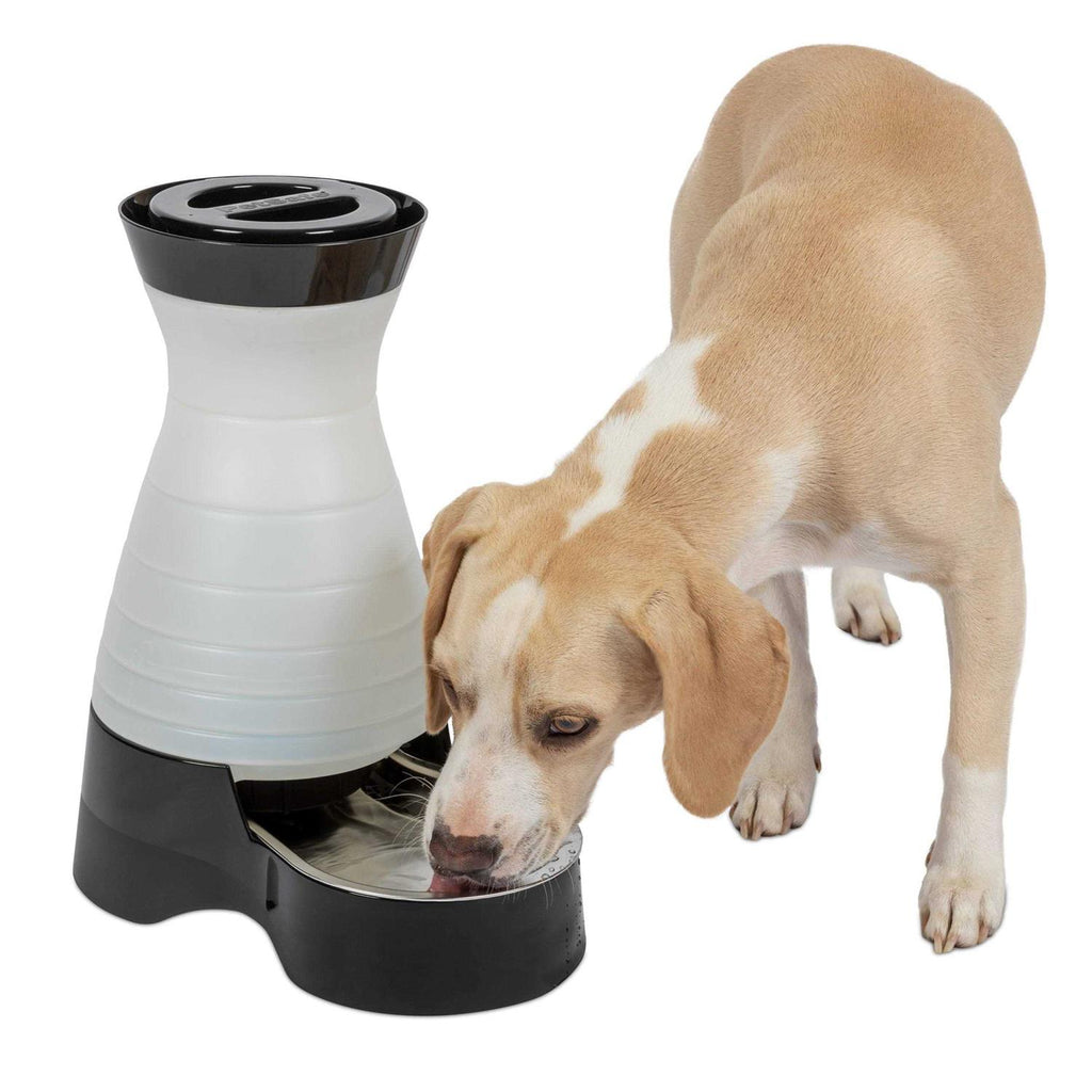 Healthy Pet Water Station R1656