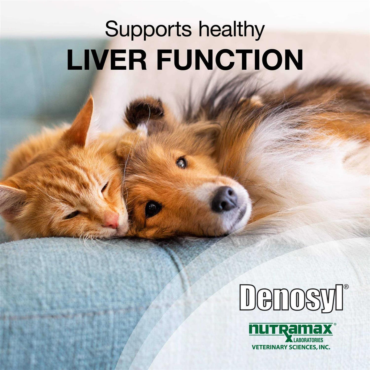 Liver and Brain Health Supplement for Small Dogs & Cats P264656