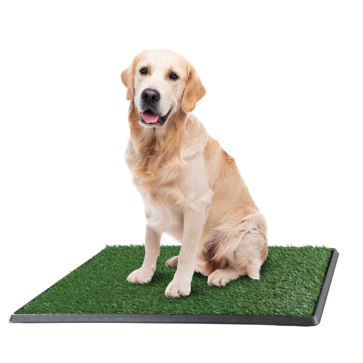 Artificial Grass Dog Potty Pad with Tray W1978