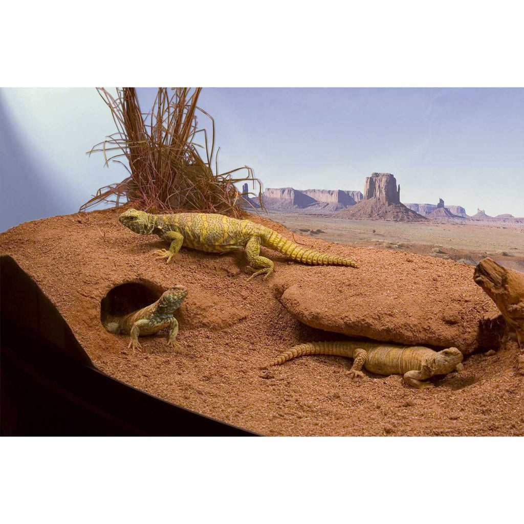 Clay Burrowing Substrate I162