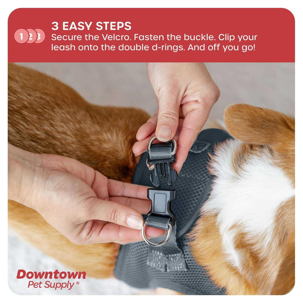 Step in Dog Harness for Small Dogs Z5949